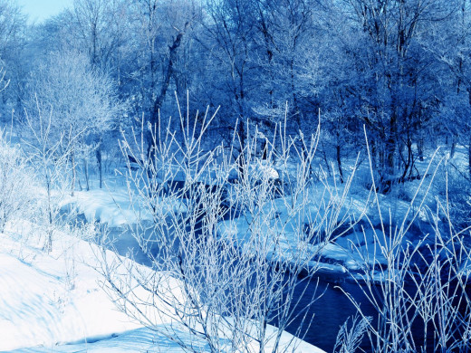 45381 (a): :1600x1200